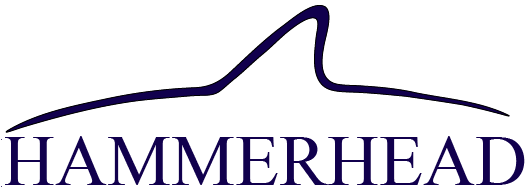 Hammerhead Financial Strategies